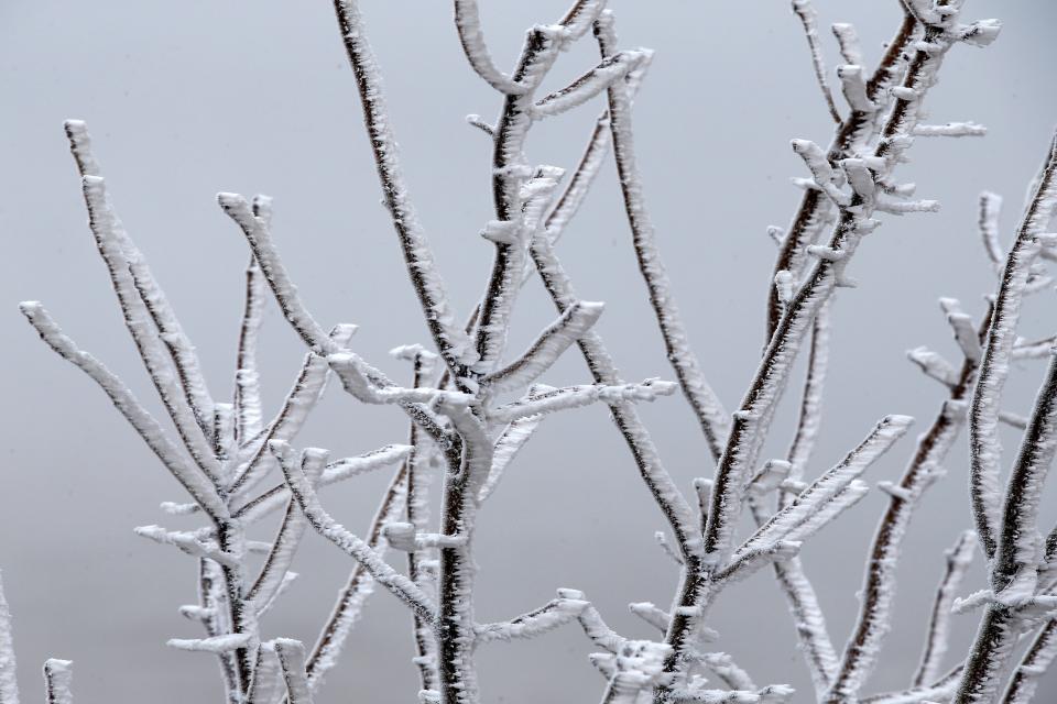 Forecasters with the National Weather Service said there is a chance for ice accumulations early next week in central Oklahoma.