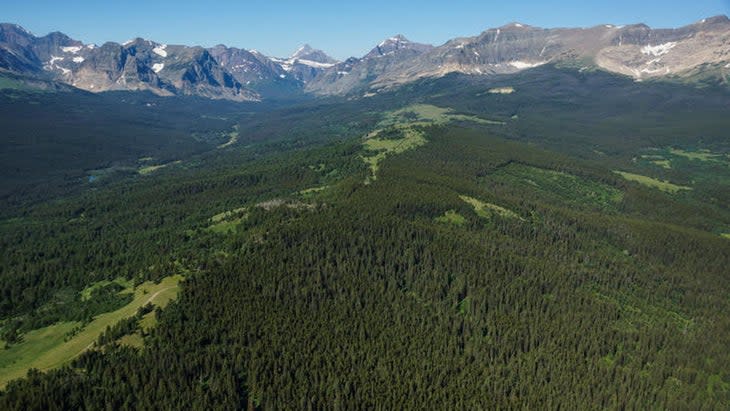 <span class="article__caption">Glacier National Park from the air. Glacier has released a plan to phase out flights by the end of 2029. </span> (Photo: Courtesy <a href="https://ecoflight.org/" rel="nofollow noopener" target="_blank" data-ylk="slk:EcoFlight);elm:context_link;itc:0;sec:content-canvas" class="link ">EcoFlight)</a>