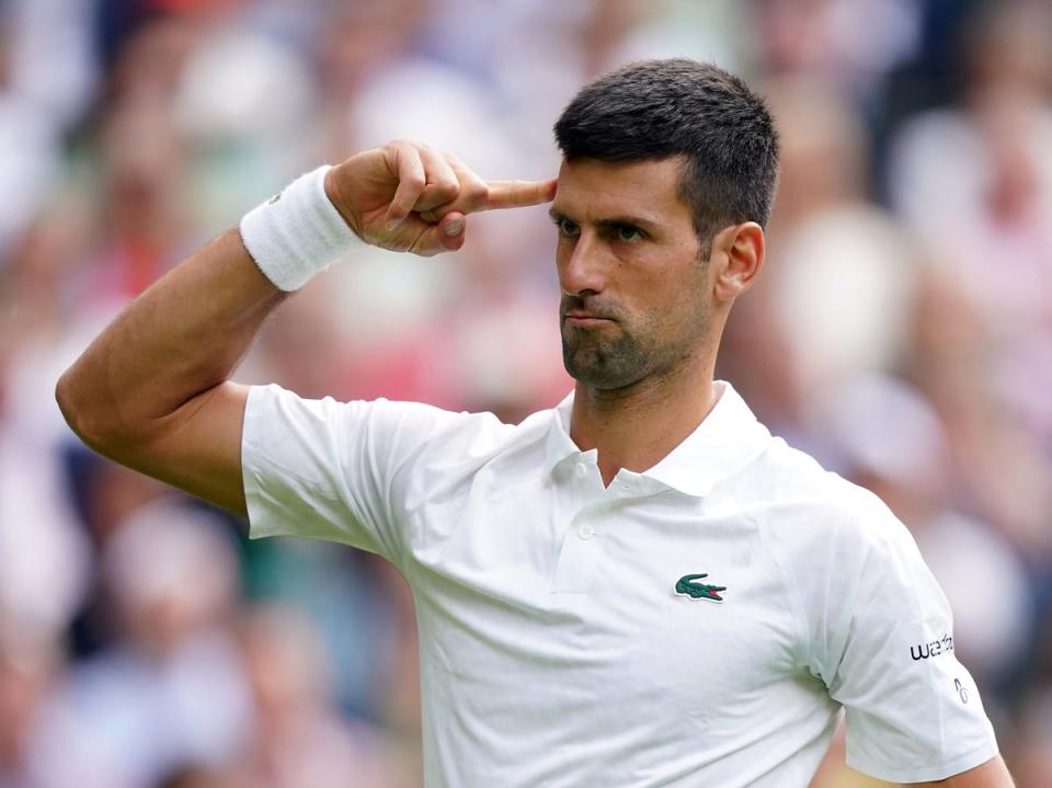 Novak Djokovic celebrates winning the second set during his match against Jordan Thompson (PA)