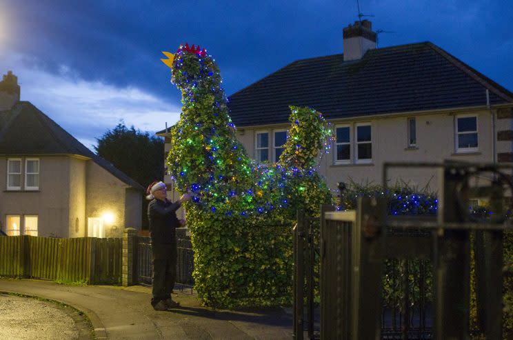 A pensioner has transformed a 14ft cockerel in his garden into a festive display