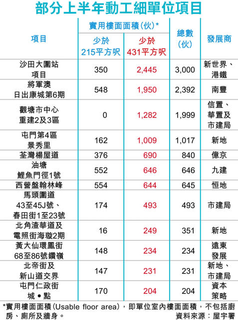 上半年1.26萬伙動工 細戶逾8成