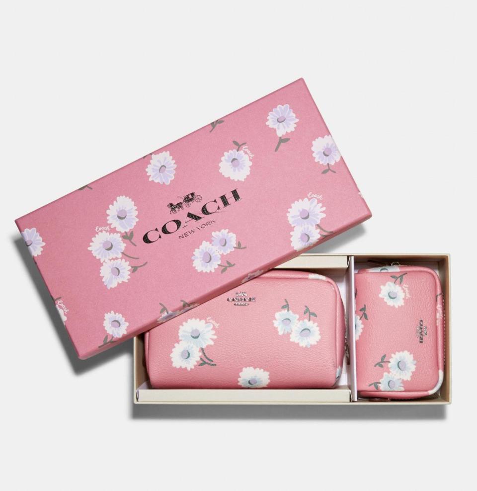 Boxed Small And Mini Boxy Cosmetic Case Set With Daisy Print. Image via Coach Outlet.