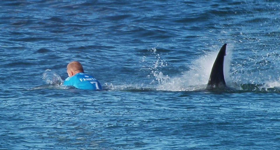 Australian surfer Mick Fanning fought off a shark in Jeffrey’s Bay, South Africa in 2015 during the J-Bay Open. Source: AAP