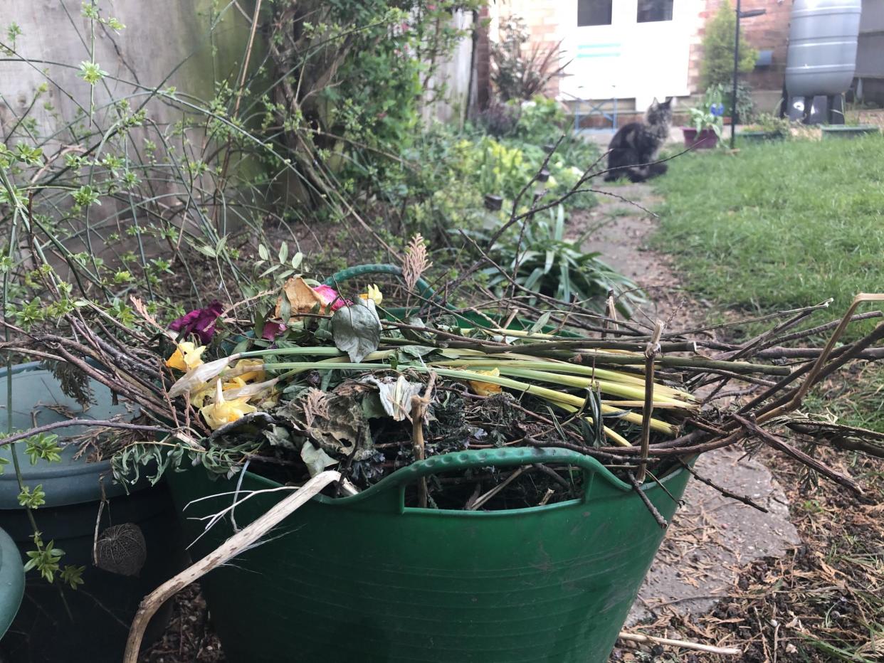 A garden waste basket in a back garden. More than a third of English councils have suspended collections of garden waste as they struggle to pick up rubbish amid staff shortages (PA Media): PA Media