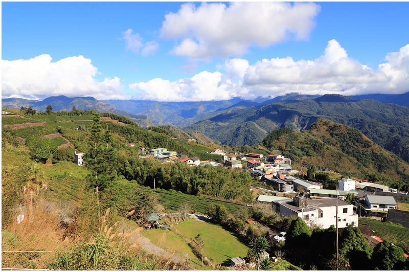 嘉義｜茶林山步道