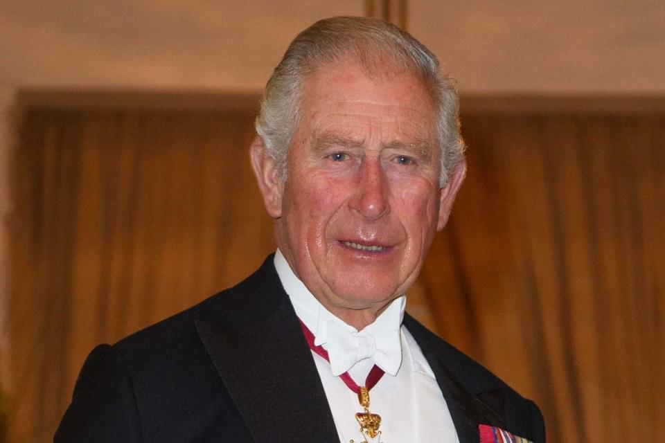 Prince Charles at the British Embassy prior to Enthronement Ceremony of Emperor Naruhito (Photo by Tim Rooke - Pool/Getty Images)