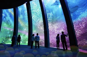 「八景島水族館Xpark」| “Xpark Aquarium” (Courtesy of Xpark)