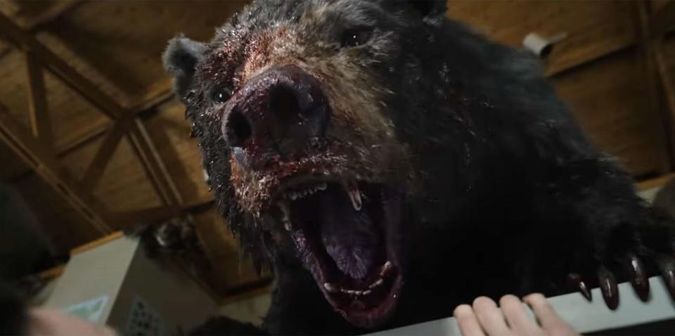 Bear with blood on its snout