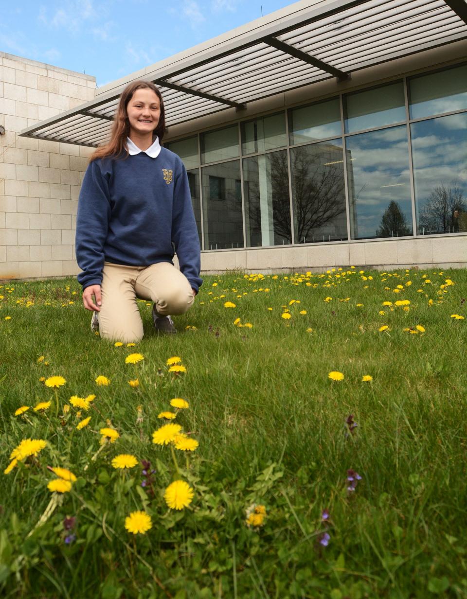 Morgan Cook, a sophomore at Norwich Technical High School, shows where eight picnic tables will be built and set outside the school cafeteria from part of the $20,000 Voice4Change grant she wrote.