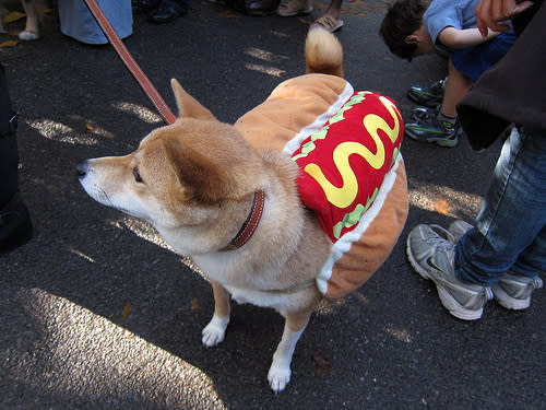 Hot Dog