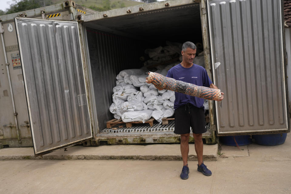 Daniel Abruccini, public relation specialist, holds a frozen Pirarucu skin, that arrived from the Amazonas to the Nova Kaeru tannery factory at Tres Rios municipality, Rio de Janeiro state, Brazil, Tuesday, Oct. 11, 2022. Thousands of miles away from the Amazon, down a hilly dirt road on the outskirts of Rio de Janeiro, Nova Kaeru will process about 50,000 skins from legally-caught giant pirarucu or arapaima fish this year. (AP Photo/Silvia Izquierdo)