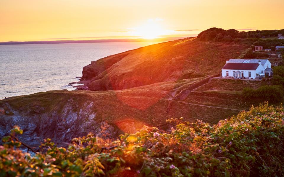 Cornwall's local producers provide everything from goat to gooseberries and seaweed to snails - 