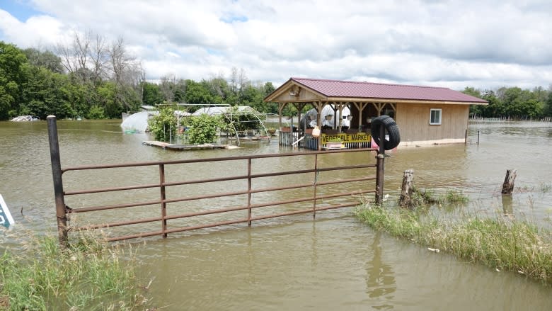 Intense rain floods basements, streets, fields in North Gower