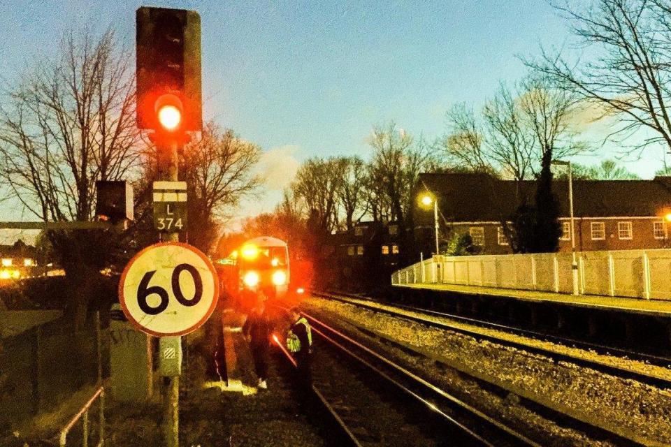 Southern rail delays: All lines into London blocked after strong winds bring trees down onto the tracks