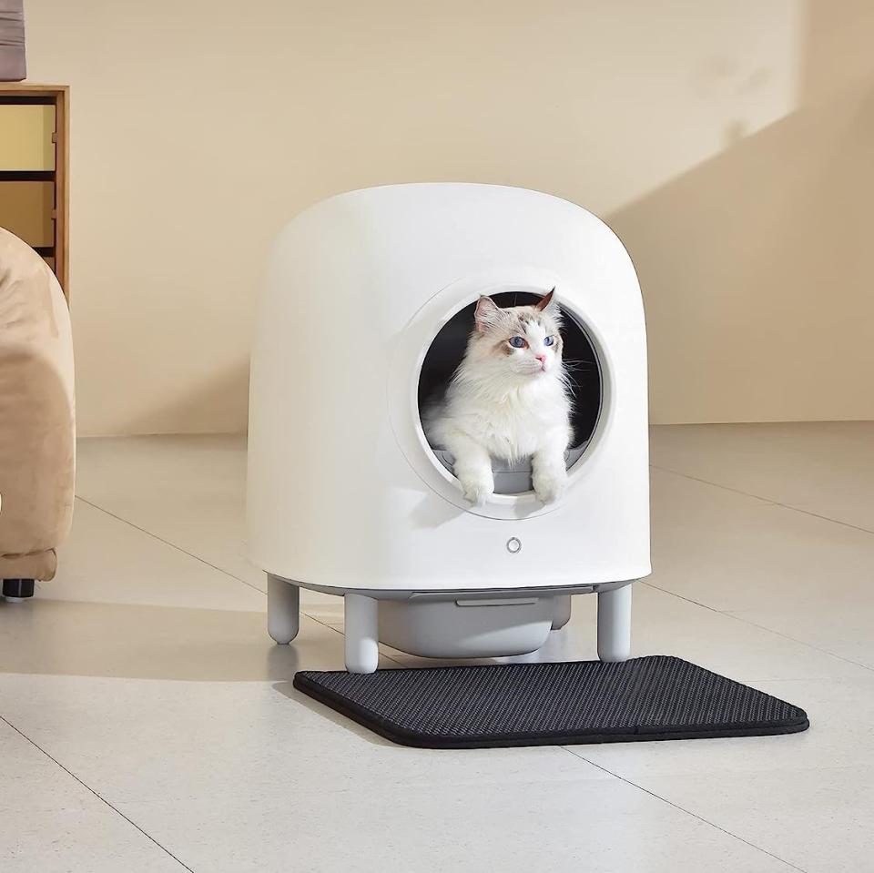 Petree Self-Cleaning Litter Box (Photo via Amazon Canada)