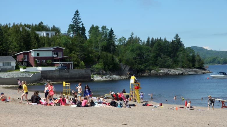 Frustration mounts over neglect of Saint John's Dominion Park