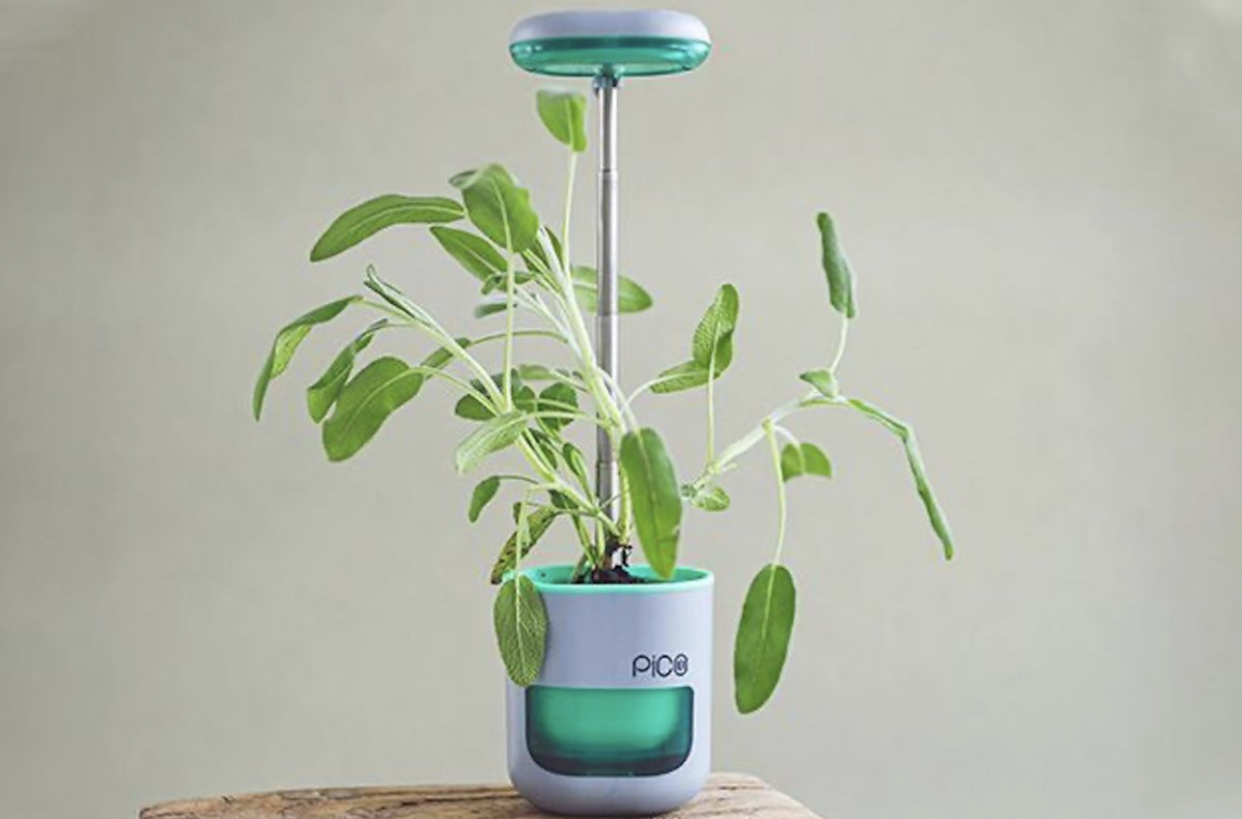 Smart planter on a table