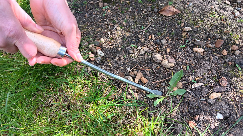 Removing a weed