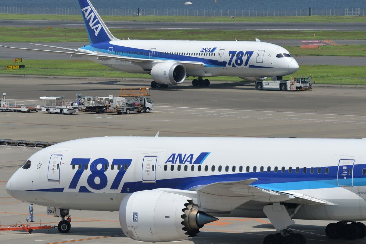 Stock image of an All Nippon Airways plane