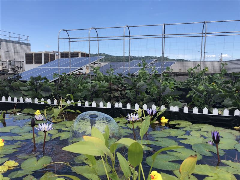 鴻海總部頂樓打造秘密花園，並安裝太陽能板，擴大潔淨能源應用。（圖／鴻海提供）