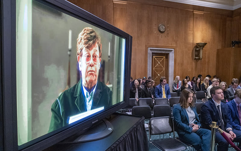 Singer and composer Elton John appears on a screen to give virtual testimony