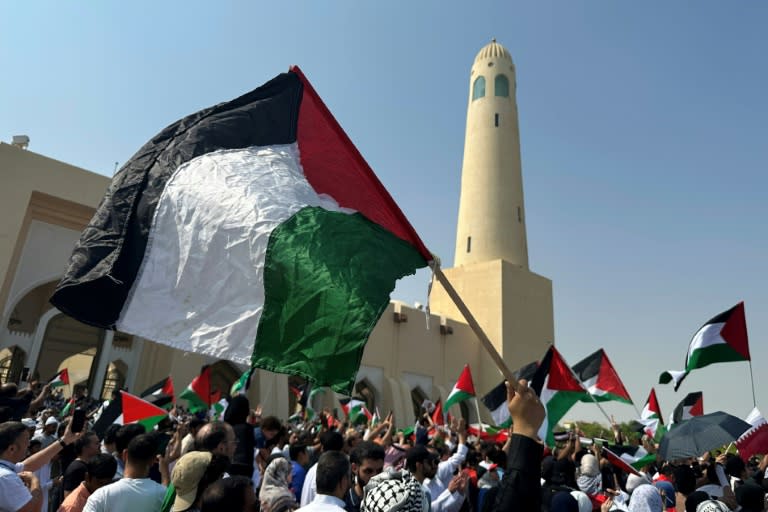 People wave the Palestinian flag during protests in Doha after the outbreak of the Gaza war (KARIM JAAFAR)