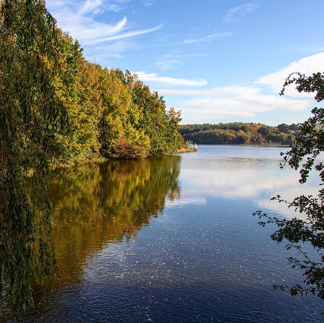 8) Calke Gardens and Parklands, Derbyshire