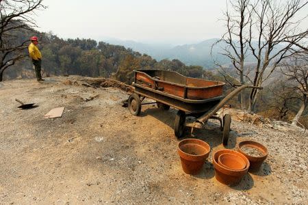 Tom Stokesberry with the U.S. Forest Service surveys the damage at a destroyed property after the Soberanes Fire burned through the Palo Colorado area, north of Big Sur, California, U.S. July 31, 2016. REUTERS/Michael Fiala