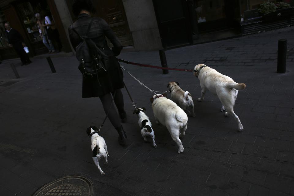 Photos of the day - October 10, 2013