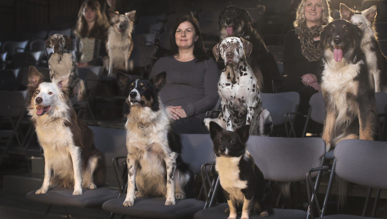  Animals and human sat in a movie theatre. 