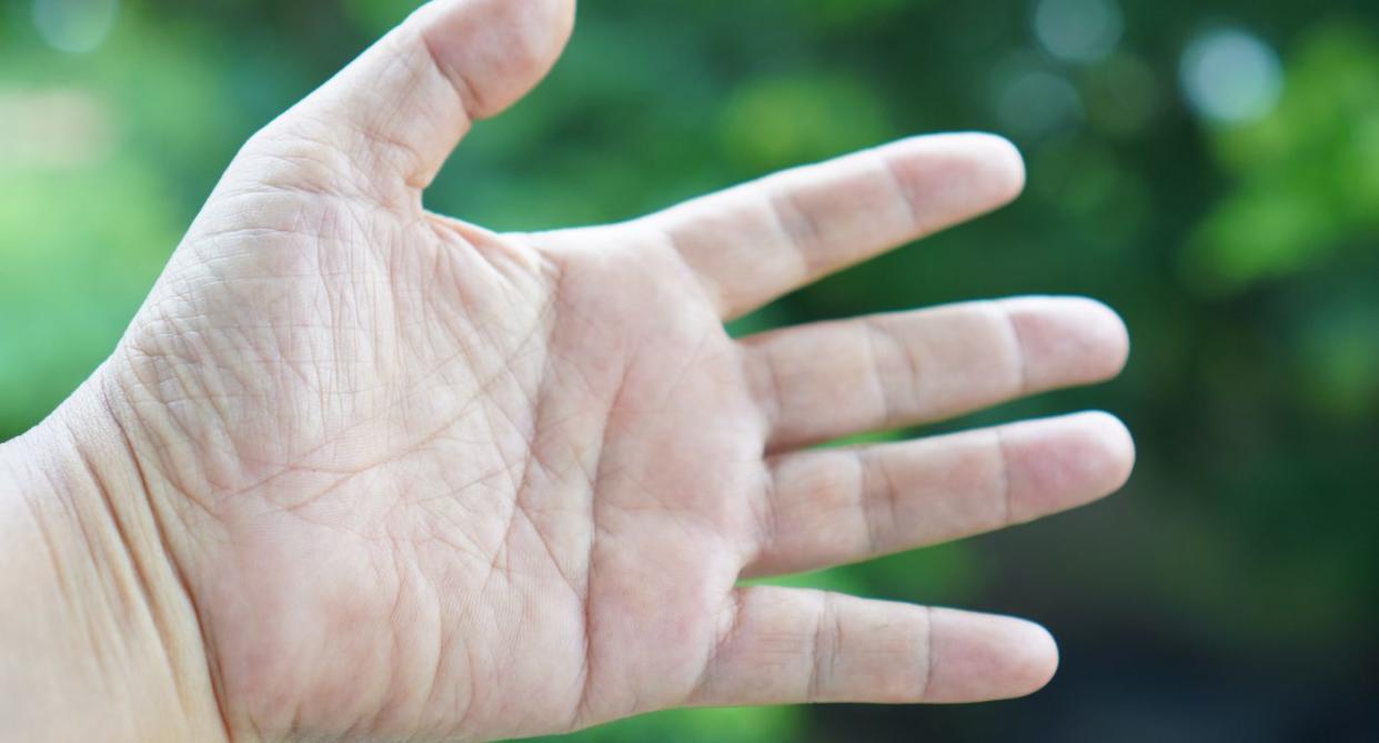 Hands with greenery background. (Getty Images)