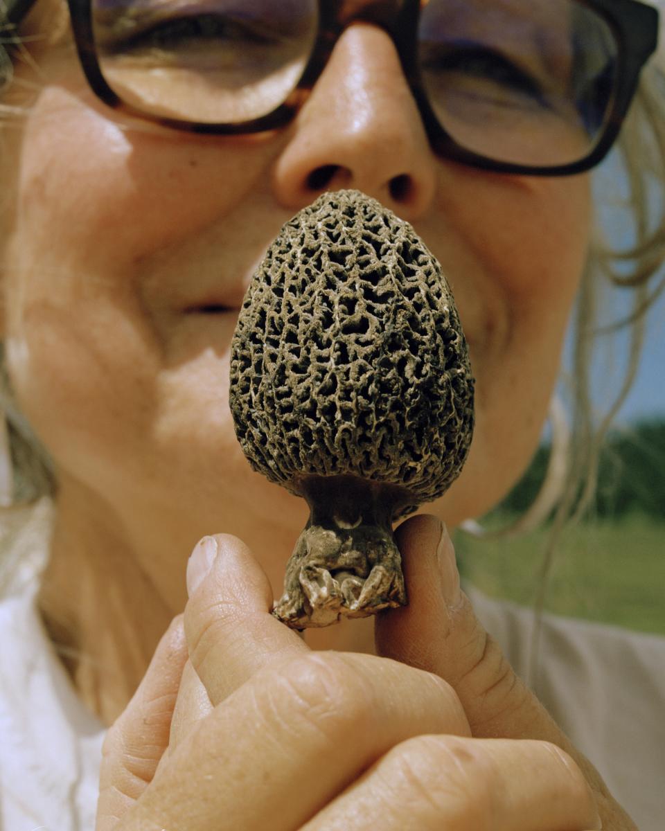 Sarah Combs Wright, a retired architect who lives in Durango, Colorado, runs the Instagram and Facebook accounts for the mushroom festival. She’d found this mushroom earlier in the week. “When you find morels in the forest, they just glow,” she said.