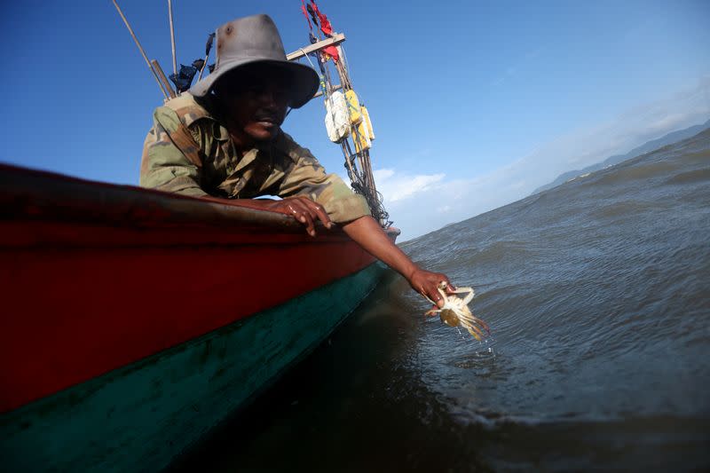 Cambodian fishermen release female crabs to preserve declining stocks