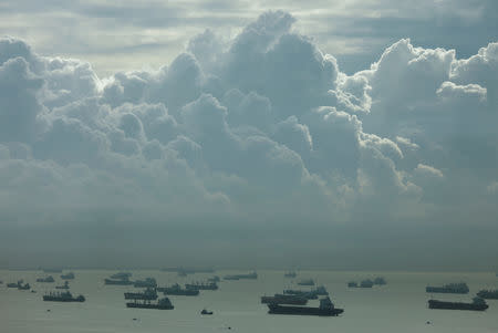 FILE PHOTO: Ships off the southern coast of Singapore seen on March 2, 2017. REUTERS/Edgar Su/File Photo/File Photo