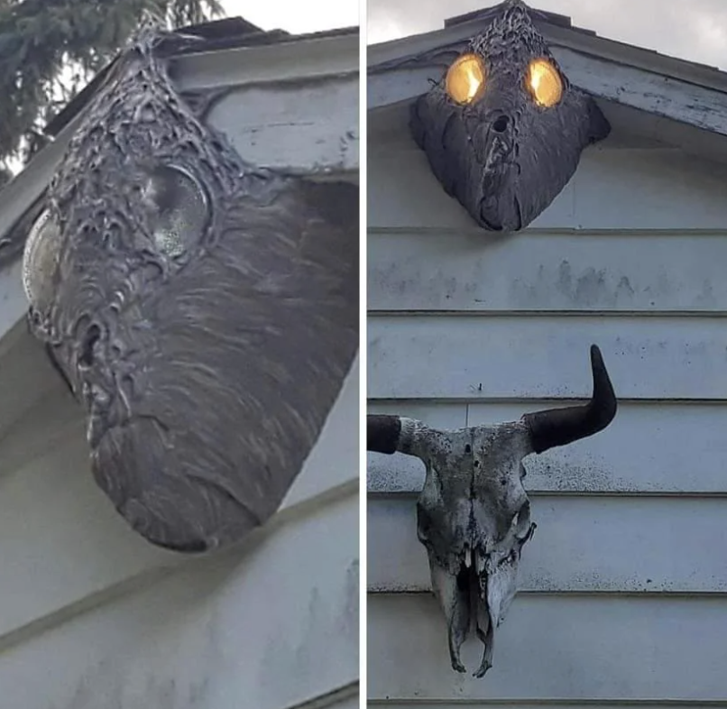 Wasp nest looks like a creepy face mask