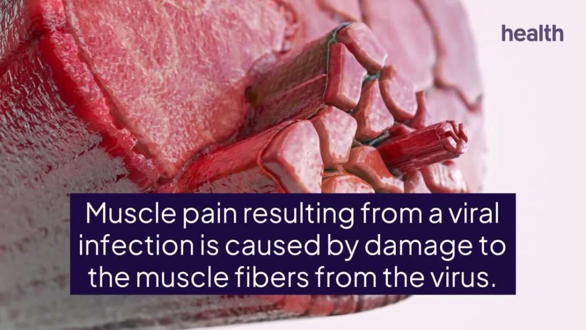 is-muscle-pain-a-symptom-of-covid-19