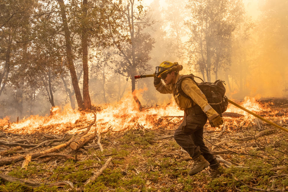 A firefighter works to control a backfire operation conducted to slow the Oak Fire's advancement on a hillside in Mariposa County, California, on July 24, 2022. / Credit: David Odisho/Bloomberg via Getty Images