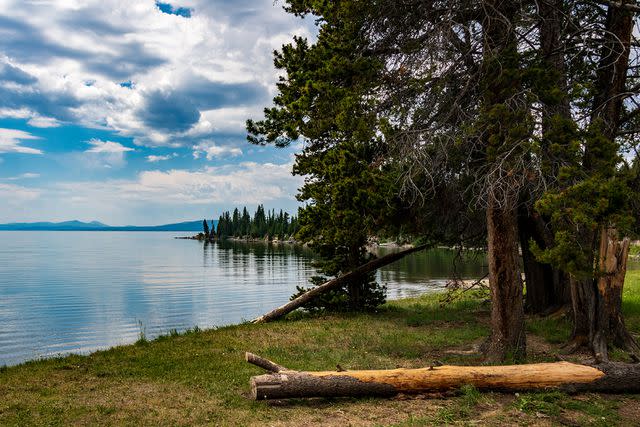 <p>Getty</p> Views of Yellowstone Lake along Storm Point Nature Trail.