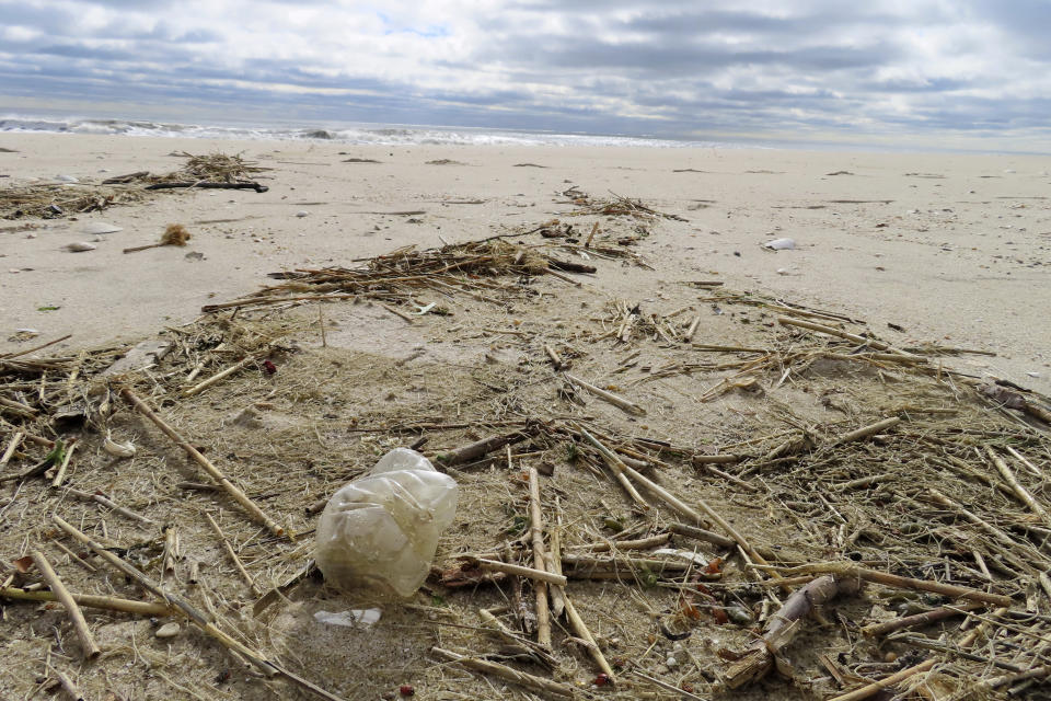 A plastic bag sits on the sand in Brick N.J. on Thursday, April 4, 2024, the day that the Clean Ocean Action Environmental Group released a report showing that volunteers picked up and disposed of 176,206 items of trash along New Jersey's 127-mile coastline last year. (AP Photo/Wayne Parry)