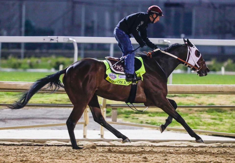 Kentucky Derby horse Wild On Ice trains with Jockey Ken Tohill aboard during a morning workout Thursday April 27, 2023 at Churchill Downs in Louisville, Ky. Wild On Ice would pull up on the backstretch after running five furlongs, holding his left hind leg. The horse would later be euthanized at an equine medical facility in Lexington after first being evaluated both at Churchill Downs and Lexington.