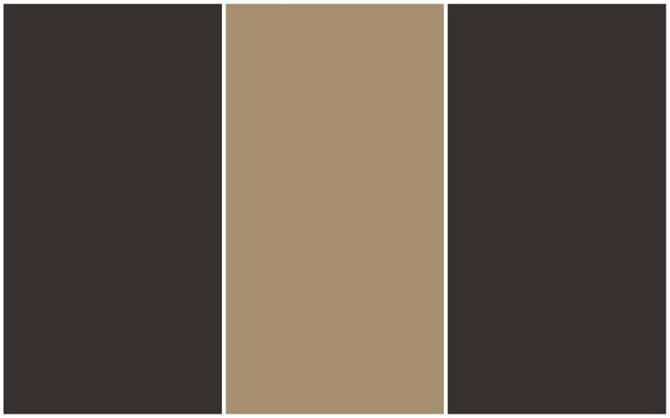 Tanner's Brown, from £57.50 for 2.5 litres, Farrow & Ball; Toasted Teacake, from £50 for 2.5 litres, Graham & Brown; London Brown no.287, from £83 for 2.5 litres, Mylands