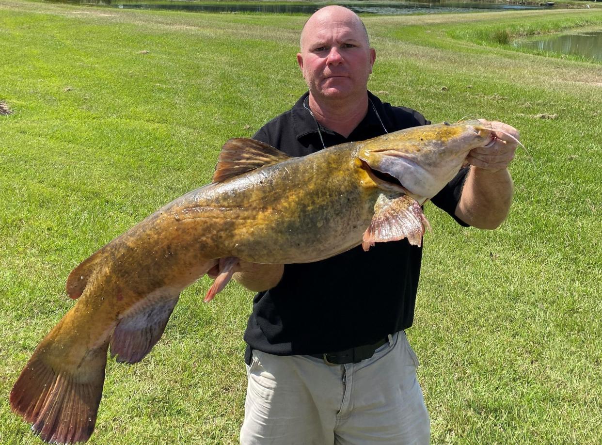 Georgia Department of Natural Resources Fisheries Biologist Joel Fleming poses with a 25-pound invasive flathead catfish recently harvested from the Ogeechee River.