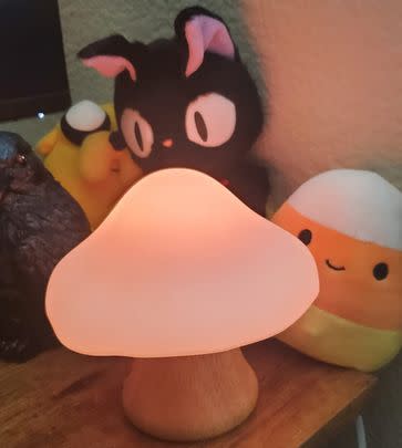 A precious little mushroom lamp