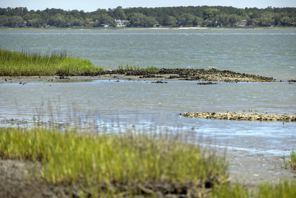 Natural occurring oyster reefs and salt marshes surrounding much of the Marine Corps Recruiting Depot, Wednesday, May 11, 2022, in Parris Island, S.C. The base has been working with environmental groups to secure funding for living shoreline projects, building up oyster reefs along the coast to strengthen the salt marsh that acts as a buffer to floods and hurricanes. (AP Photo/Stephen B. Morton)