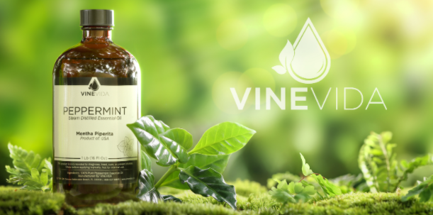 VINEVIDA  Pure Essential Oil (@vinevida) • Instagram photos and