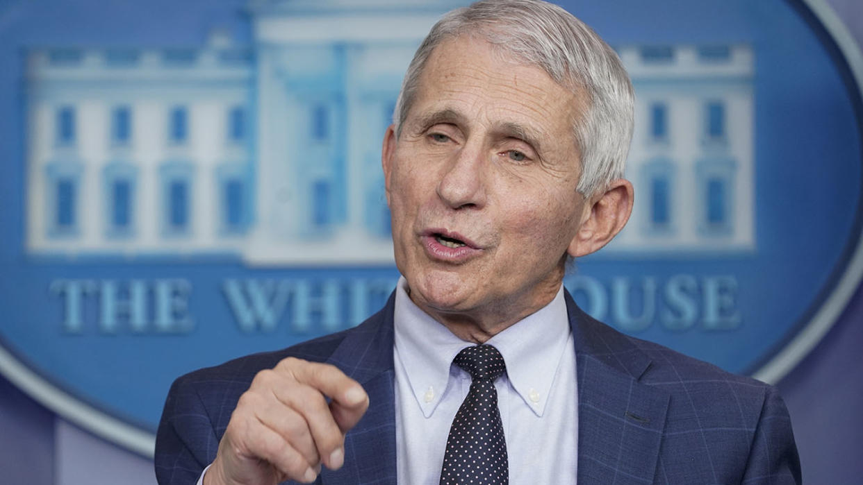 Dr. Anthony Fauci, director of the National Institute of Allergy and Infectious Diseases, addresses the daily briefing at the White House on Wednesday. 