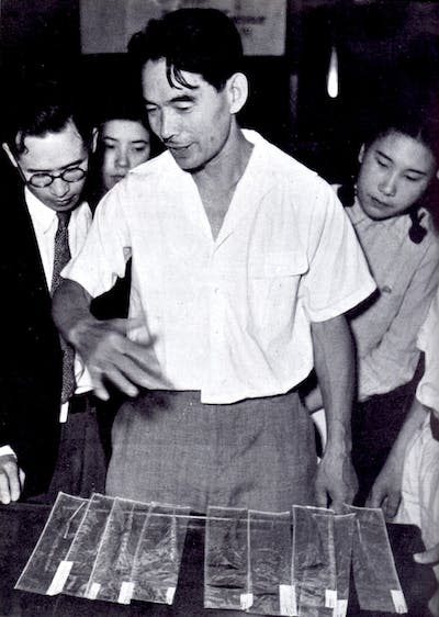 Kihara Hitoshi fue un reconocido científico en Japón, principalmente por sus logros con el maíz. Se le atribuye el concepto de genoma. <a href="https://commons.wikimedia.org/wiki/File:Kihara_Hitoshi_photographed_by_Shigeru_Tamura.jpg" rel="nofollow noopener" target="_blank" data-ylk="slk:Shigeru Tamura / Wikimedia commons;elm:context_link;itc:0;sec:content-canvas" class="link ">Shigeru Tamura / Wikimedia commons</a>