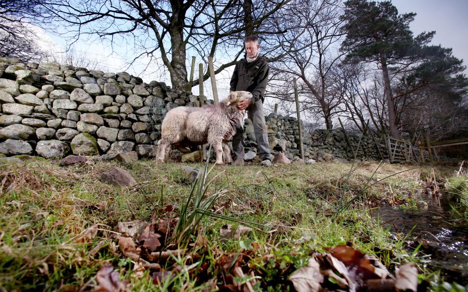 The man rescuing sheep on Beatrix Potter's favourite Lake District fells