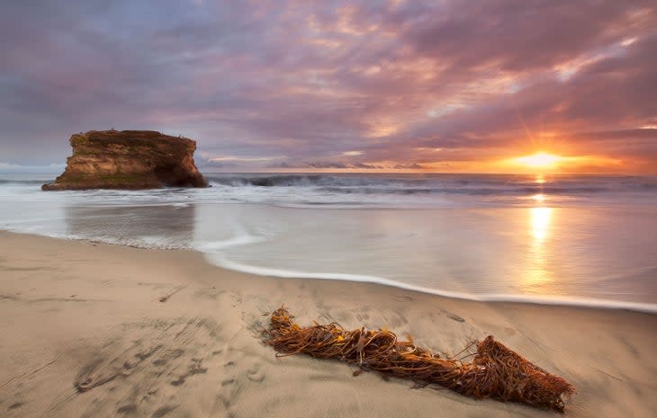 Sunset at Natural Bridges State Beach near Santa Cruz