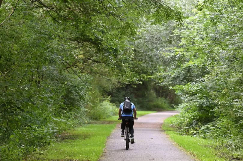 There's no shortage of beautiful trails to follow